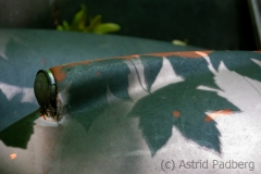 Autofriedhof / Skulpturenpark (c) Astrid Padberg