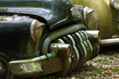 Autofriedhof / Skulpturenpark (c) Astrid Padberg