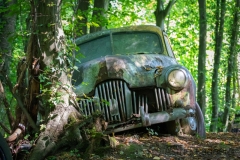 Autofriedhof / Skulpturenpark (c) Astrid Padberg
