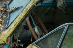 Autofriedhof / Skulpturenpark (c) Astrid Padberg
