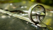 Autofriedhof Mettmann (c) Detlef Buxmann)