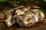 Autofriedhof Mettmann (c) Detlef Buxmann)