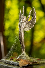 Autofriedhof Mettmann (c) Detlef Buxmann)
