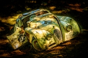 Autofriedhof (c) Gerd Baumann