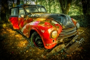 Autofriedhof (c) Gerd Baumann