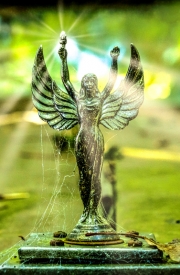 Autofriedhof (c) Gerd Baumann