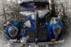 Auto Skulpturen Park (c) Hans Peter Eckstein