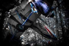 Auto Skulpturen Park (c) Hans Peter Eckstein