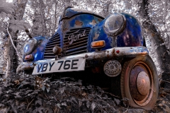 Auto Skulpturen Park (c) Hans Peter Eckstein