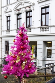 Besinnlichkeit trifft Plastik (c) Georg Bein