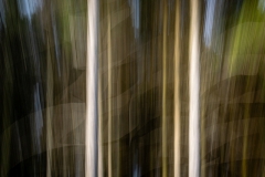 Bewegung (c) Andreas Otto