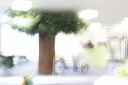 Bibliothek (c) Andrea Hermann