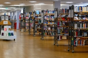Bibliothek (c) Renate Romanus