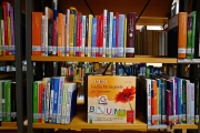 Bibliothek (c) Renate Romanus