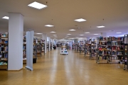 Bibliothek (c) Ulrike Kaulfuß
