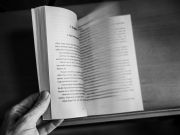 Bibliothek (c) Ina Herzig