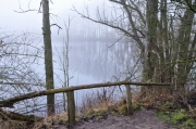 Bislicher Insel (Caroline Henkes)