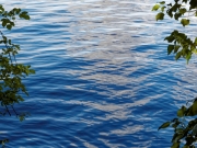 Blau (c) Annette Ulrich