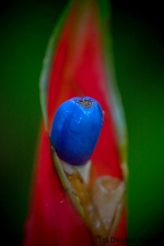 Botanischer Garten Bochum