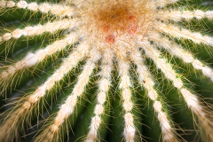 Botanischer Garten Bochum 2016