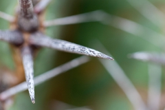 Botanischer Garten Bochum 2016