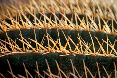 Botanischer Garten Bochum 2016