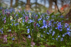 Botanischer Garten Bochum 2016