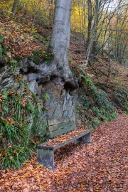 Brückenpark Müngsten