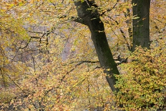 Brückenpark Müngsten