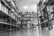 Froschperspektive (c) Ina Herzig