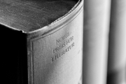 Preisgekrönte Literatur (c) Ina Herzig