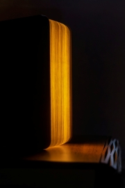 Bücher bringen Licht ins Dunkl (c) Hans Peter Eckstein