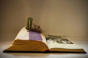 Kakteenbuch (c) Detlef Buxmann