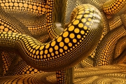 Muster (c) Caroline Henkes, Yayoi Kusama