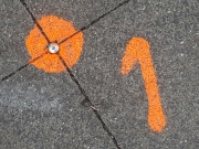 orange (c) Caroline Henkes