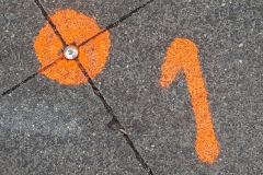 orange (c) Caroline Henkes