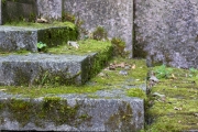 TR4_MG_8569_web