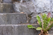 TR5_MG_8567_web
