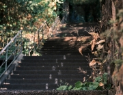 Picture-2_web