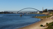 Radtour am Rhein