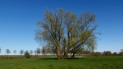 Radtour am Rhein