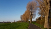 Radtour am Rhein