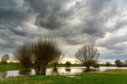 Spaziergang in den Rheinauen
