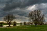 Spaziergang in den Rheinauen