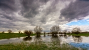 Spaziergang in den Rheinauen
