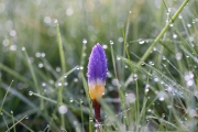 Farbe