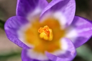 Farbe