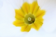 Farbe