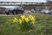 Sonnborner Kreuz