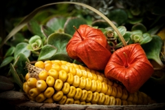 Klausen - Südtirol / Orange / Herbst (c) Detlef Buxmann